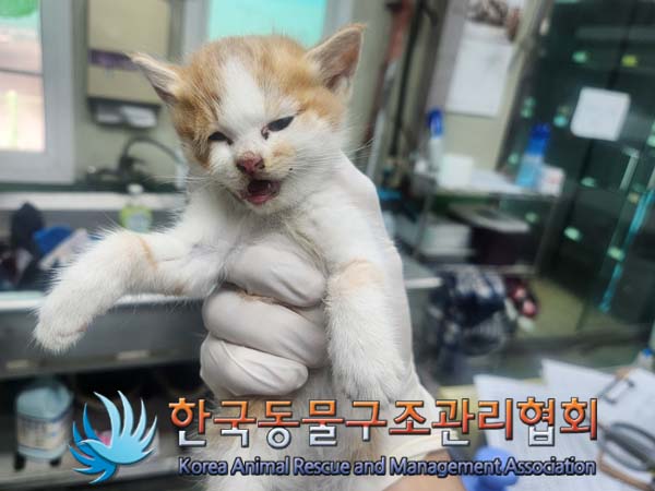 한국동물구조관리협회_441414202400787